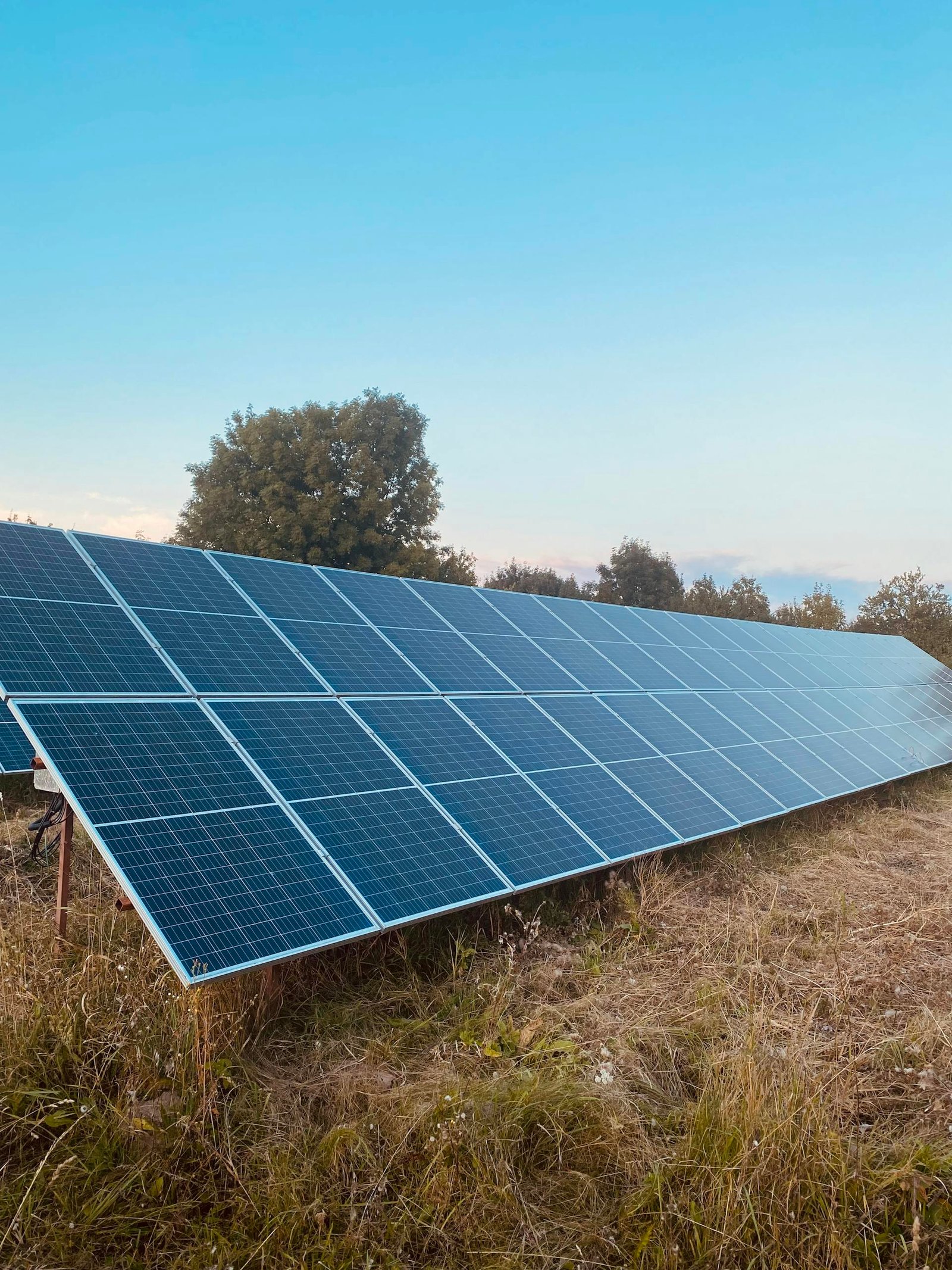 Rows of solar panels in a field harness clean energy under a clear blue sky.